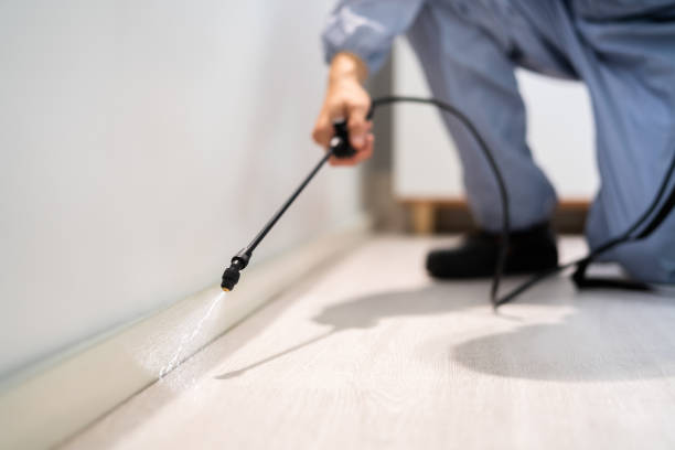 Licensed Pest Control service in Oak Grove, LA - Show Me Pest Control
