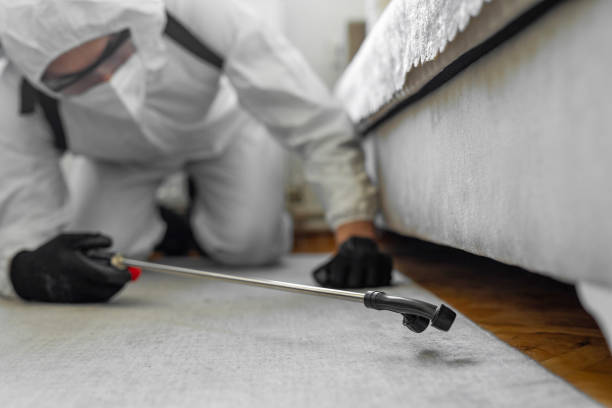 Professional Ant Control technician working in Oak Grove, LA